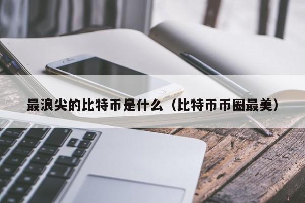 最浪尖的比特币是什么（比特币币圈最美）