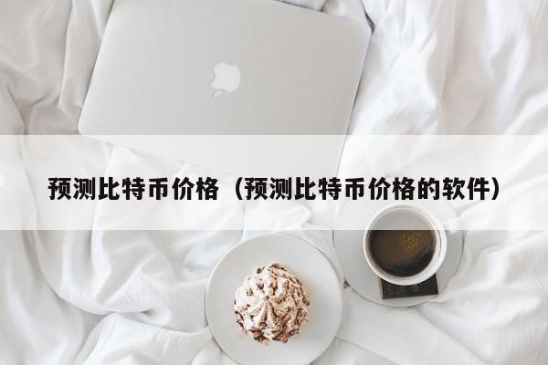 预测比特币价格（预测比特币价格的软件）