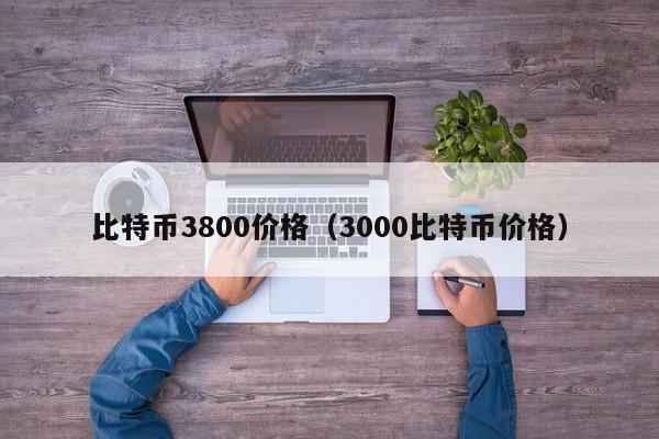 比特币3800价格（3000比特币价格）