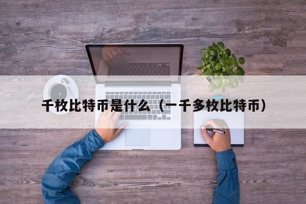 千枚比特币是什么（一千多枚比特币）