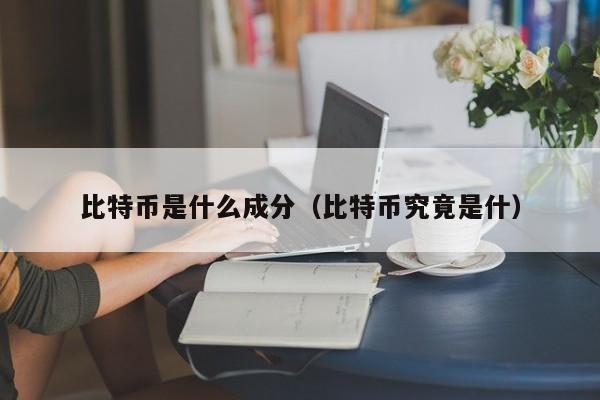 比特币是什么成分（比特币究竟是什）