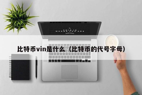 比特币vin是什么（比特币的代号字母）