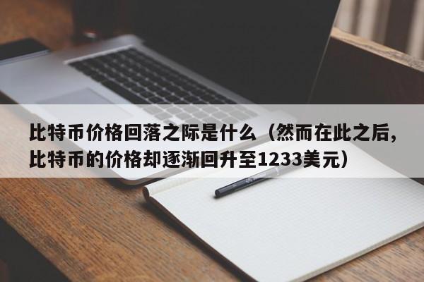 比特币价格回落之际是什么（然而在此之后,比特币的价格却逐渐回升至1233美元）