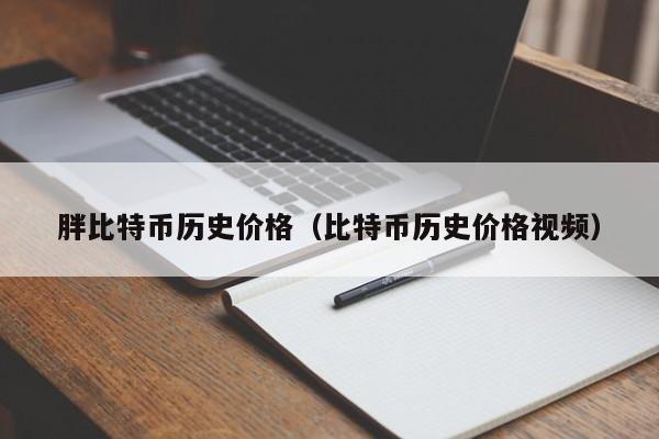胖比特币历史价格（比特币历史价格视频）