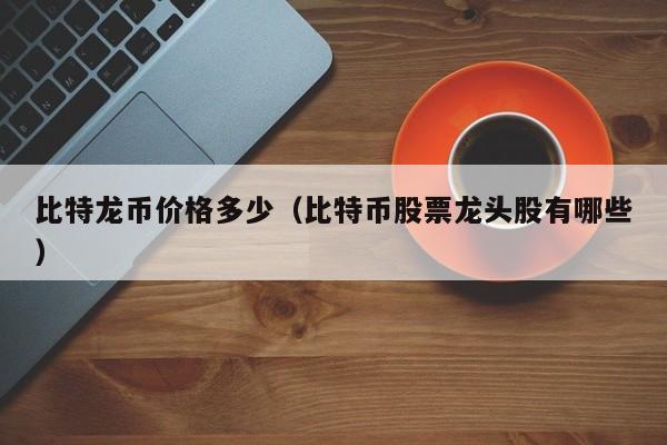 比特龙币价格多少（比特币股票龙头股有哪些）