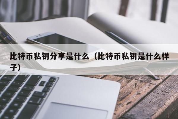比特币私钥分享是什么（比特币私钥是什么样子）