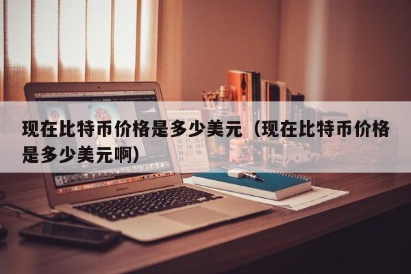 现在比特币价格是多少美元（现在比特币价格是多少美元啊）