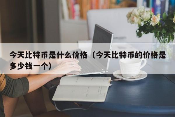 今天比特币是什么价格（今天比特币的价格是多少钱一个）