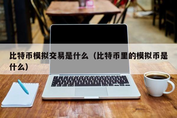 比特币模拟交易是什么（比特币里的模拟币是什么）