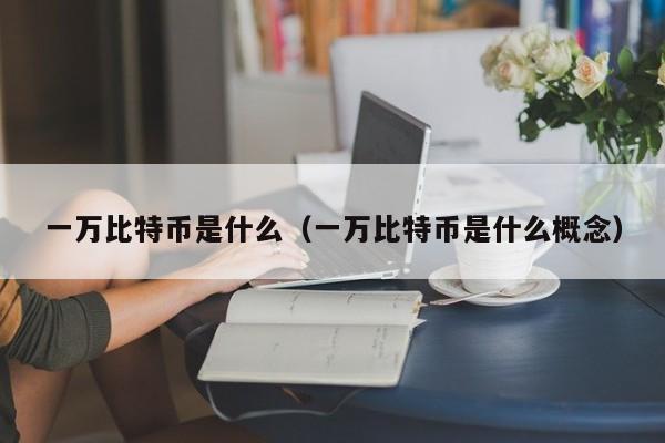 一万比特币是什么（一万比特币是什么概念）