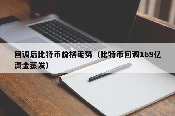 回调后比特币价格走势（比特币回调169亿资金蒸发）