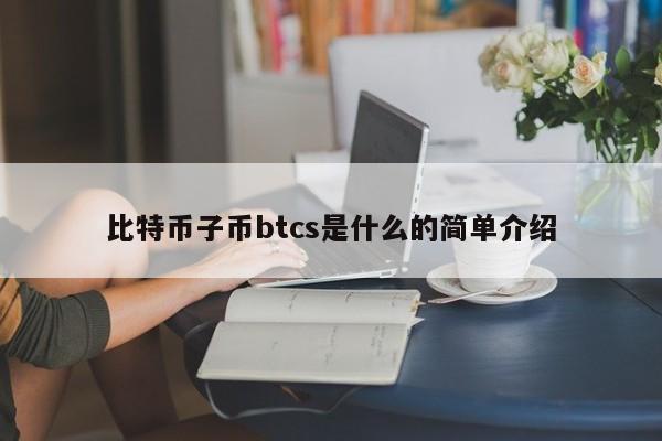 比特币子币btcs是什么的简单介绍