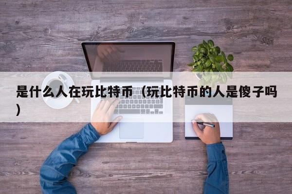 是什么人在玩比特币（玩比特币的人是傻子吗）