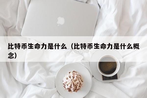 比特币生命力是什么（比特币生命力是什么概念）