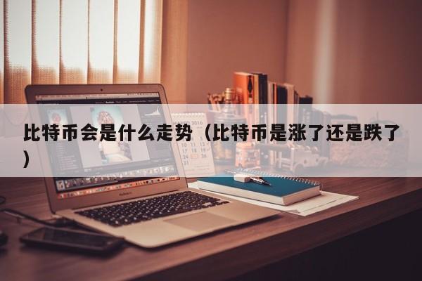 比特币会是什么走势（比特币是涨了还是跌了）