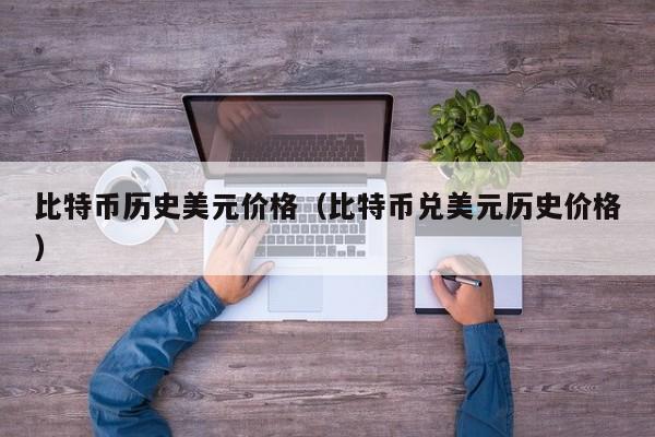 比特币历史美元价格（比特币兑美元历史价格）