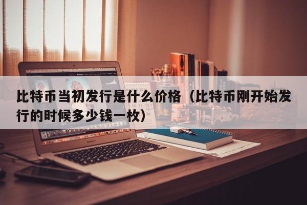 比特币当初发行是什么价格（比特币刚开始发行的时候多少钱一枚）