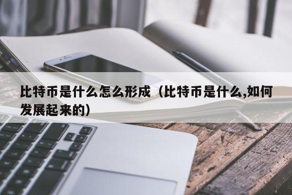 比特币是什么怎么形成（比特币是什么,如何发展起来的）