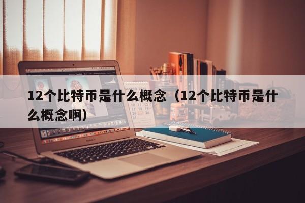 12个比特币是什么概念（12个比特币是什么概念啊）
