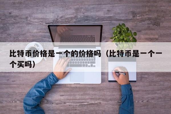 比特币价格是一个的价格吗（比特币是一个一个买吗）