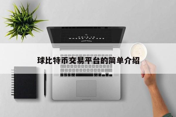 球比特币交易平台的简单介绍