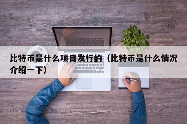 比特币是什么项目发行的（比特币是什么情况介绍一下）