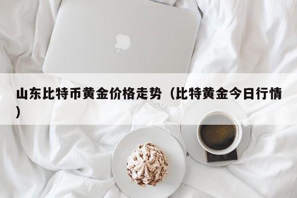山东比特币黄金价格走势（比特黄金今日行情）