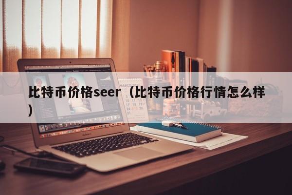 比特币价格seer（比特币价格行情怎么样）