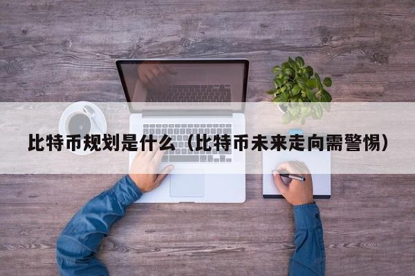 比特币规划是什么（比特币未来走向需警惕）