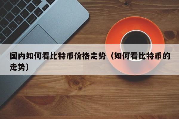 国内如何看比特币价格走势（如何看比特币的走势）