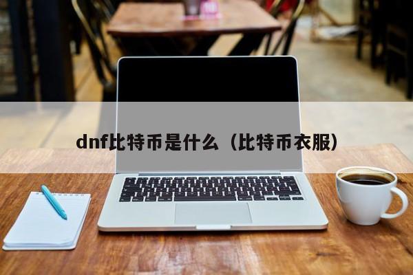 dnf比特币是什么（比特币衣服）