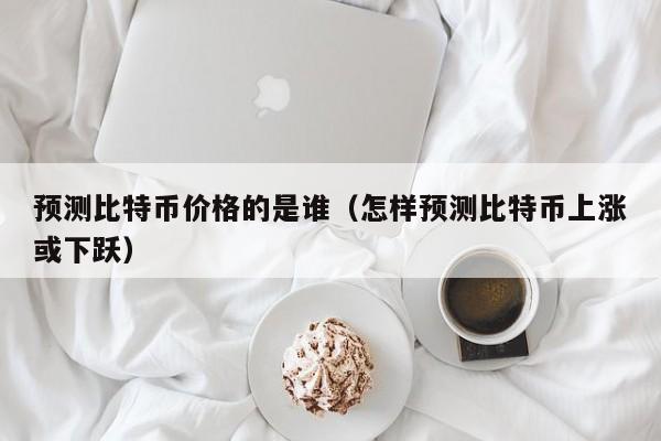 预测比特币价格的是谁（怎样预测比特币上涨或下跃）