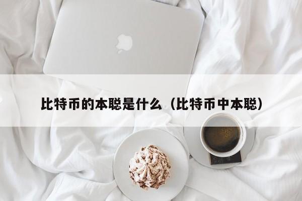 比特币的本聪是什么（比特币中本聪）
