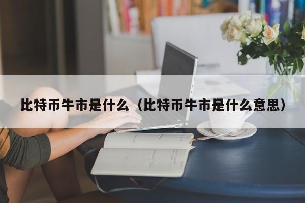 比特币牛市是什么（比特币牛市是什么意思）
