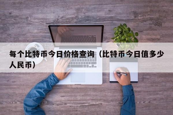 每个比特币今日价格查询（比特币今日值多少人民币）