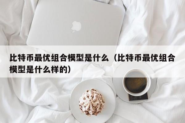 比特币最优组合模型是什么（比特币最优组合模型是什么样的）