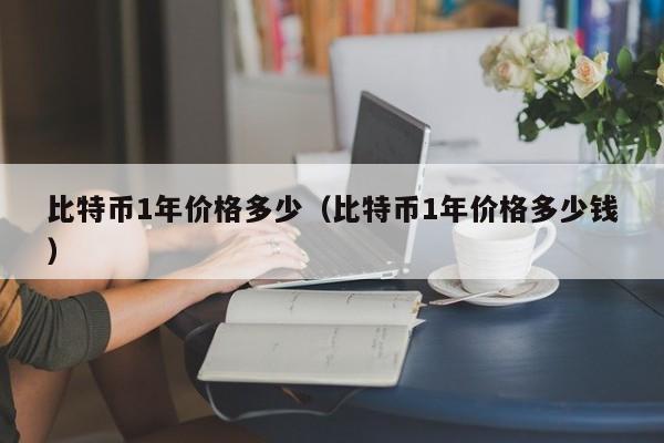 比特币1年价格多少（比特币1年价格多少钱）