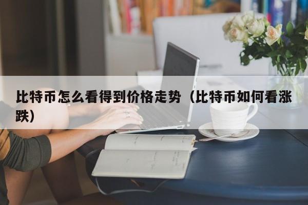 比特币怎么看得到价格走势（比特币如何看涨跌）