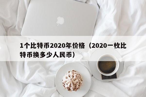 1个比特币2020年价格（2020一枚比特币换多少人民币）