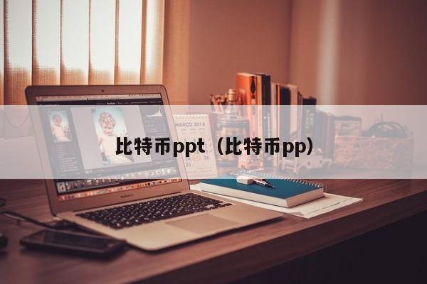 比特币ppt（比特币pp）