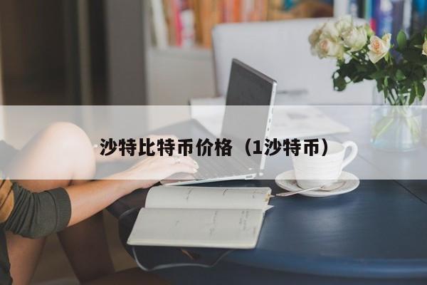 沙特比特币价格（1沙特币）