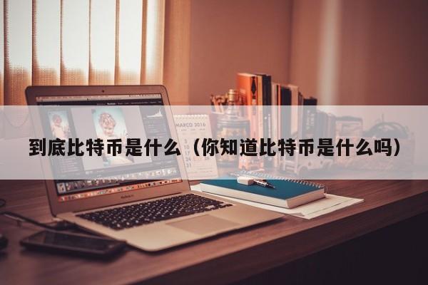 到底比特币是什么（你知道比特币是什么吗）