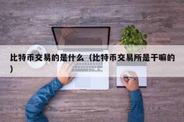 比特币交易的是什么（比特币交易所是干嘛的）