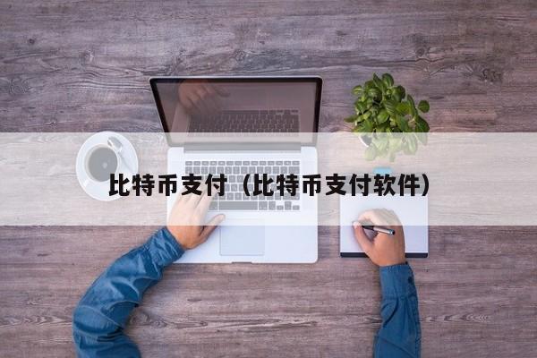比特币支付（比特币支付软件）