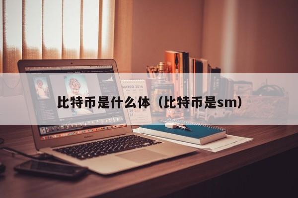 比特币是什么体（比特币是sm）