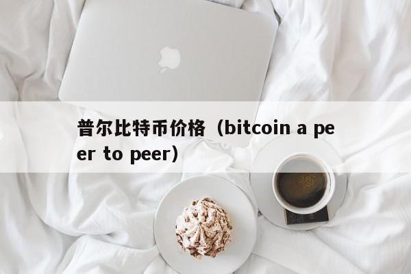 普尔比特币价格（bitcoin a peer to peer）
