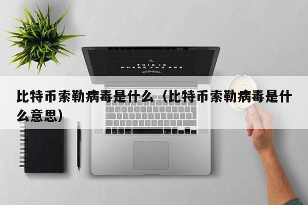 比特币索勒病毒是什么（比特币索勒病毒是什么意思）