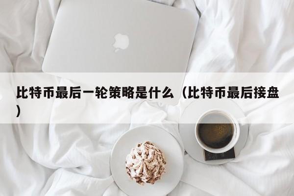 比特币最后一轮策略是什么（比特币最后接盘）