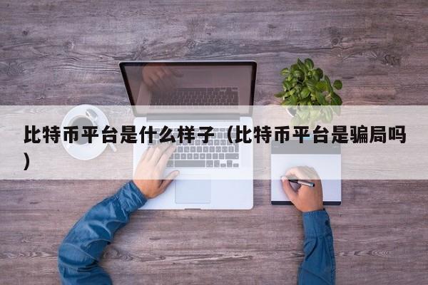 比特币平台是什么样子（比特币平台是骗局吗）