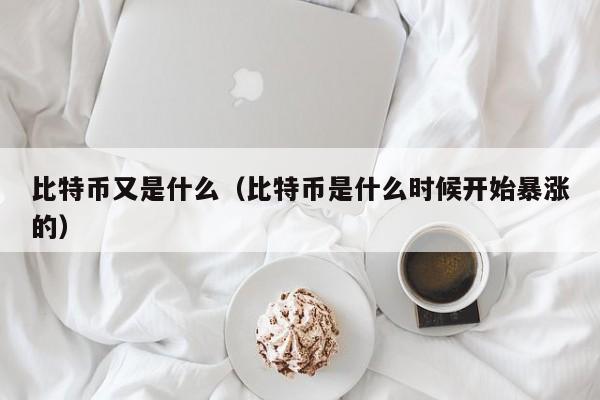 比特币又是什么（比特币是什么时候开始暴涨的）